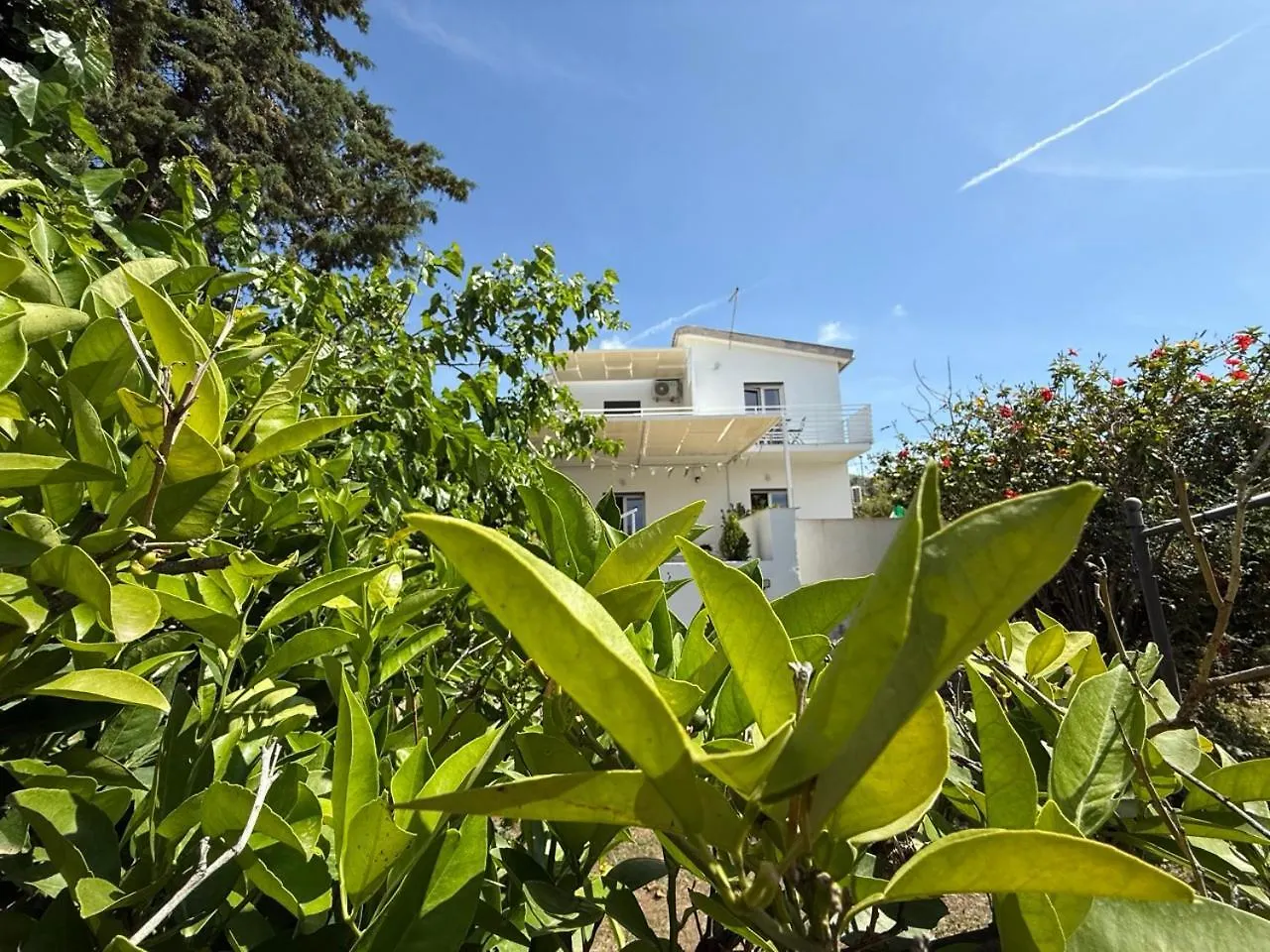 Terra Di Mare Guest House Agrigento 0*,  Italy